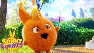 Bright Shining Star | Sunny Bunnies | Cartoons for Kids | WildBrain Bananas