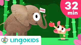 Animal Songs for Kids 🎵 Cowy has an Elephant 🐘💗 | Lingokids