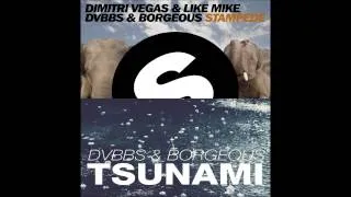 Tsunami Vs Stampede [Mashup] ★★★★★