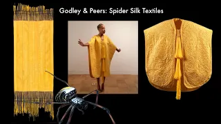 Godley and Peers Spider Silk textiles