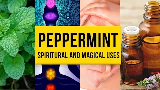 Peppermint: Magical Powers and Uses | Yeyeo Botanica