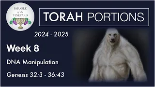 Torah Portion Week 8 - Genesis 32:3 - 36:43  (DNA Corruption & The End Times)  2024 - 2025