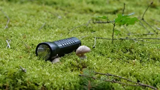 Die Wasserlampe - diese Taschenlampe erzeugt Licht mit Wasser
