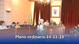 Pleno ordinario 14 11 19