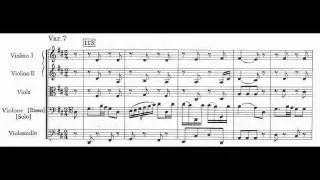 Haydn Symphony no.31 "Hornsignal" Var.7 Gyorgy Schweigert bass solo