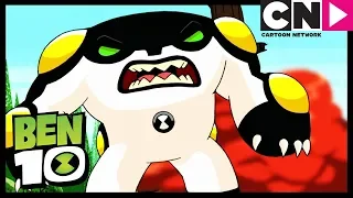 Destruye Los Clones | Max Al Máximo | Ben 10 en Español Latino | Cartoon Network