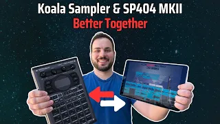 Koala Sampler & SP404 MK2: This Beatmaking Combo Just Got Even Better with Official Integration