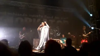 Knorkator  / Der Hofstaat   Live Aladin Bremen 29.10.2022