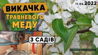 🍯Викачка весняного меду, в 2022 році🍯 Результат правильно розширених сімей!