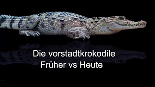 Die vorstadtkrokodile🐊| Früher vs Heute