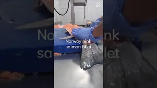 Norway pink salmon fillet