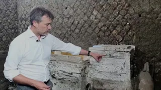 New discovery sheds light on life of slaves in Pompeii