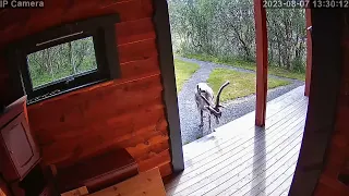 Someone is visiting my cabin, while I am at work.