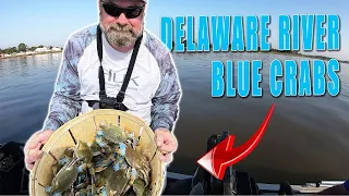 Delaware river crabbing
