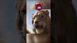 Lion King Brawl Stars Rank #shorts