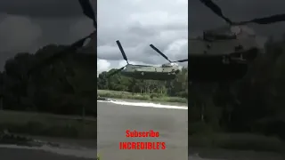 Chinook Chasing A Boat