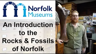 An Introduction to the Rocks and Fossils of Norfolk