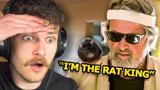 His House Is Infested By Over 3000 Rats...