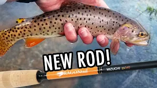 A New Rod, 2 New Species, and 3 New Creeks! (Tenkara Fly Fishing)