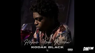 Kodak Black - Hope You Know (slowed+reverb)