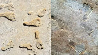 Human Footprints in North America more than 21,000 years ago Discovered
