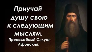 Наука побеждать самолюбие. У кого душа сильная, а у кого слабая? Преподобный Силуан Афонский.