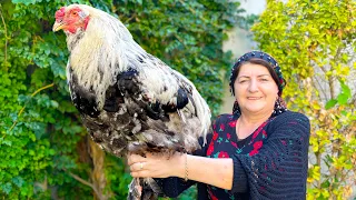 Grandma's Crispiest Giant Chicken Fried Recipe - Dinner You've Never Tried Before!