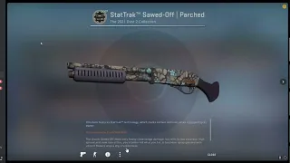 i was the first one to unbox a stattrak operation collection skin