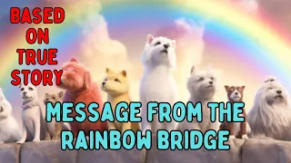 A Warning From Above To Prepare A Dog Mom's Heart - Message From The Rainbow Bridge - Chpt 6