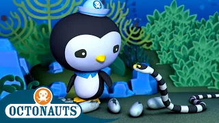 @Octonauts - The Slippery Sea Snakes 🐍 | Series 2 | Full Episode 2 | Cartoons for Kids