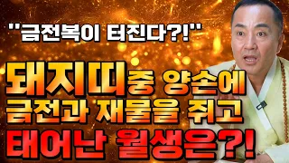 태어날때부터 양손에 금전을 쥐고 태어난 돼지띠는 몇월생?! / 2023년 계묘년 돼지띠운세 대박난다! "금전의 복이 터진다!!"  [59년생 71년생 83년생 95년생 돼지띠운세]