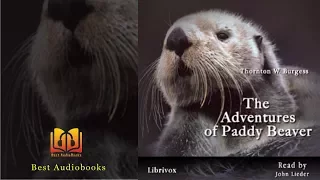 The Adventures of Paddy Beaver - Children's Audiobook