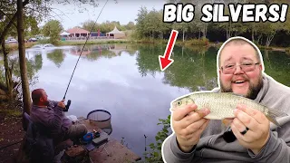 Fishing for BIG ROACH - Float & Maggot Feeder Fishing