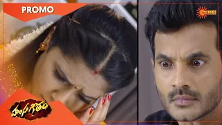 Hamsageetham - Promo | 27 June 2022 | Telugu Serial | Gemini TV