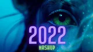 Multifandom Mashup | 2022