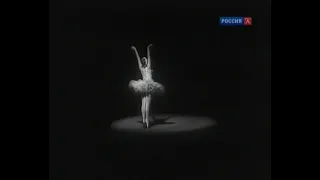 Сен-Санс. "Лебедь"