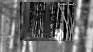 Seeking Bigfoot: Investigator believes Sasquatch lurks in NC national forest