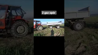 🔥Ursus C-360 VS 2 przyczepy🔥Engine sound Ursus🔥/GR Zalesie