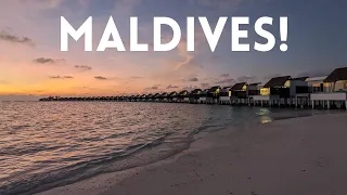 Maldives | Emerald resort | Manta Ray | Turtle | Corals | Snorkeling | Water Villa | Dolphin Cruise