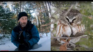 Owls In Winter (GARAGE LECTURE)