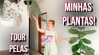 TOUR PELAS PLANTAS/Apartamento pequeno/Urban Jungle