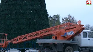 В Гродно устанавливают елки. 25.11.2020