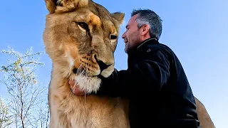 Love Bites | The Lion Whisperer