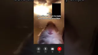 Hamster Calling Meme #TheManniiShow.com/series