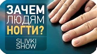 Зачем людям ногти? [SLIVKI SHOW]