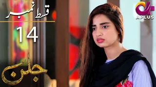 Pakistani Drama | Jallan - Episode 14 | Aplus Dramas | Saboor Ali, Imran Aslam, Waseem Abbas | C1D1O