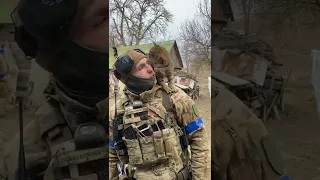 Кот благодарит Украинского солдата