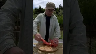 How to eat Lobster