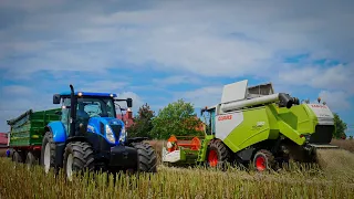 Nowe nabytki ✔ Rzepakowe żniwa w RSP Ogrodzona ✔ Claas Tucano 320 ✔ 2x New Holland t7.210