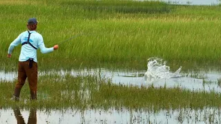 Redfish on the fly!!! | Charleston SC